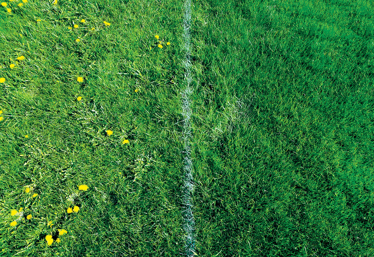 Why Good Nature Why Organic Lawn Care